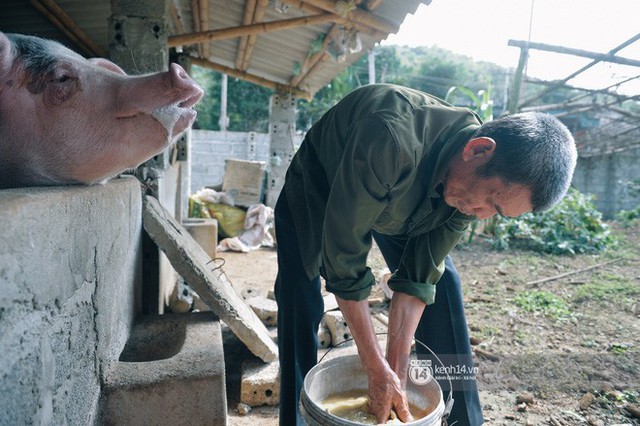 Bố mẹ Bùi Tiến Dũng vẫn vui vẻ cắt mía, cho trâu ăn ở quê nhà: Việt Nam vô địch, chúng tôi sẽ mổ bò để liên hoan! - Ảnh 3.