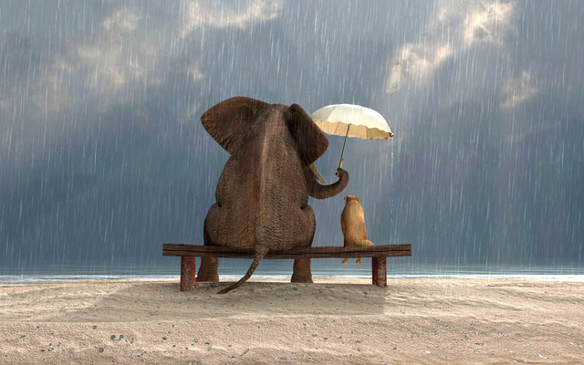 Làm người, lương thiện cần có đầu óc, khoan dung phải có giới hạn Làm người, lương thiện cần có đầu óc, khoan dung phải có giới hạn