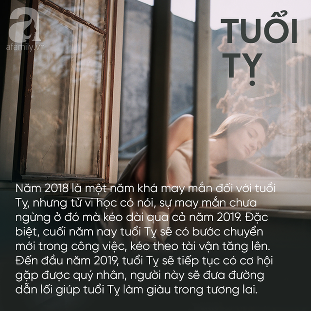 Trước Tết 2019, 3 con giáp này sẽ gặp được cơ hội trăm năm có 1, tài vận không những dồi dào mà cuộc sống thăng hoa bất ngờ - Ảnh 3.