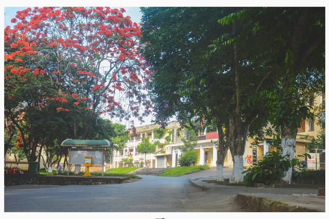 Đây là Đại học duy nhất ở Việt Nam có 1 khu rừng tuyệt đẹp ngay trong khuôn viên trường, tha hồ sống ảo - Ảnh 10.