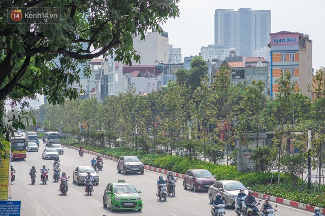 Hàng cây phong lá đỏ củi khô trước đây đã nhuộm sắc vàng đầu thu Hà Nội - Ảnh 3.