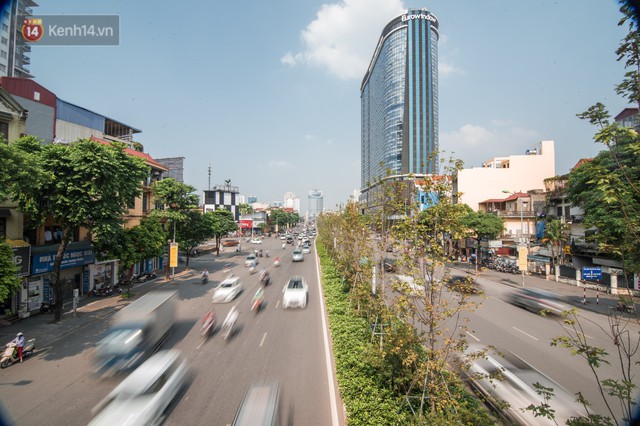 Hàng cây phong lá đỏ củi khô trước đây đã nhuộm sắc vàng đầu thu Hà Nội - Ảnh 9.