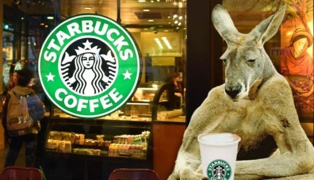 Câu chuyện của Starbucks ở Úc: Bành trướng quá nhanh để rồi bật bãi không kèn không trống - Ảnh 2.