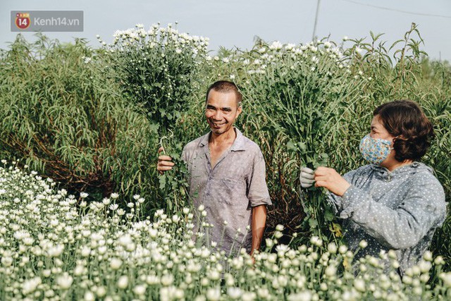 Cúc hoạ mi vào vụ mùa, nông dân Hà Nội hớn hở chào mừng khách đến mua hoa và chụp ảnh - Ảnh 15.