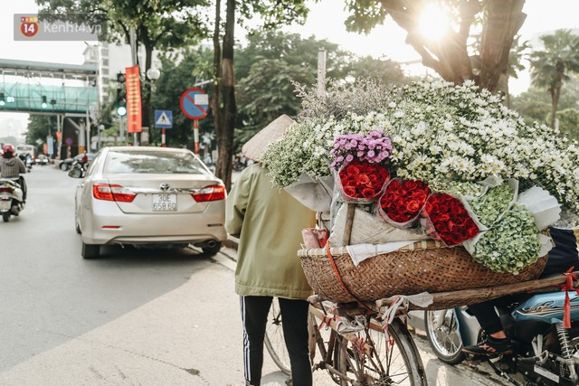 Cúc hoạ mi vào vụ mùa, nông dân Hà Nội hớn hở chào mừng khách đến mua hoa và chụp ảnh - Ảnh 19.