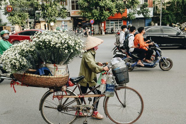 Cúc hoạ mi vào vụ mùa, nông dân Hà Nội hớn hở chào mừng khách đến mua hoa và chụp ảnh - Ảnh 22.