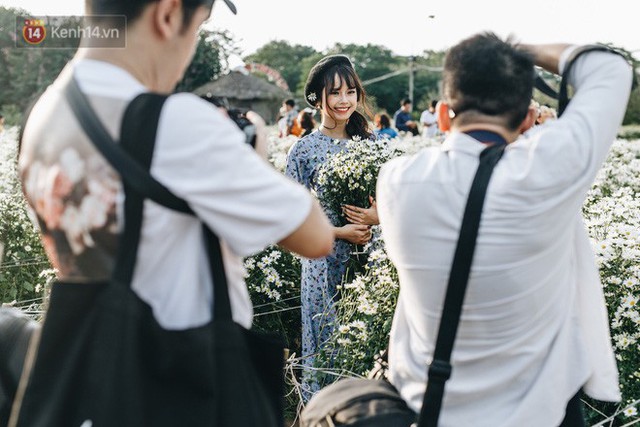Vườn cúc hoạ mi ở Hà Nội thất thủ cuối tuần: 1 mét vuông có chục nhiếp ảnh gia và mẫu - Ảnh 15.