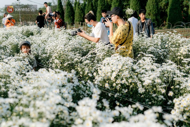 Vườn cúc hoạ mi ở Hà Nội thất thủ cuối tuần: 1 mét vuông có chục nhiếp ảnh gia và mẫu - Ảnh 23.