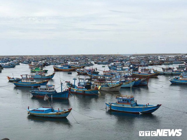 Bão số 9: Dấu hiệu bất thường” ở đảo Phú Quý, hàng nghìn người dân Nha Trang rời làng - Ảnh 1.