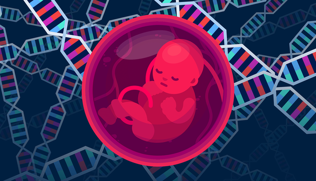 Nhà khoa học Trung Quốc đăng đàn bảo vệ 2 cô bé chỉnh sửa gen, tiết lộ còn một đứa bé nữa sắp ra đời - Ảnh 1.