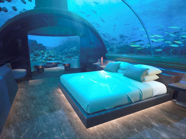 Bên trong khách sạn dưới biển đầu tiên trên thế giới, nơi bạn có thể ngủ cạnh cá mập với chi phí 1 tỷ/1 đêm - Ảnh 7.