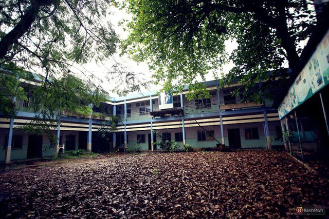 Cảnh hoang tàn bên trong ngôi trường tiểu học bị bỏ hoang hơn 3 năm ở Sài Gòn - Ảnh 2.