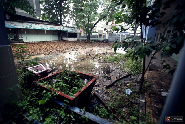 Cảnh hoang tàn bên trong ngôi trường tiểu học bị bỏ hoang hơn 3 năm ở Sài Gòn - Ảnh 5.