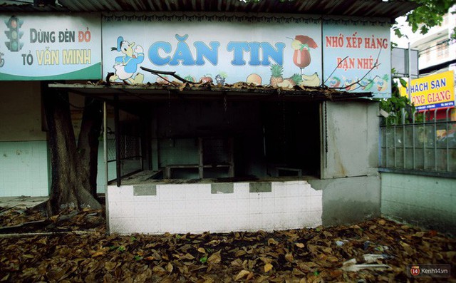Cảnh hoang tàn bên trong ngôi trường tiểu học bị bỏ hoang hơn 3 năm ở Sài Gòn - Ảnh 7.
