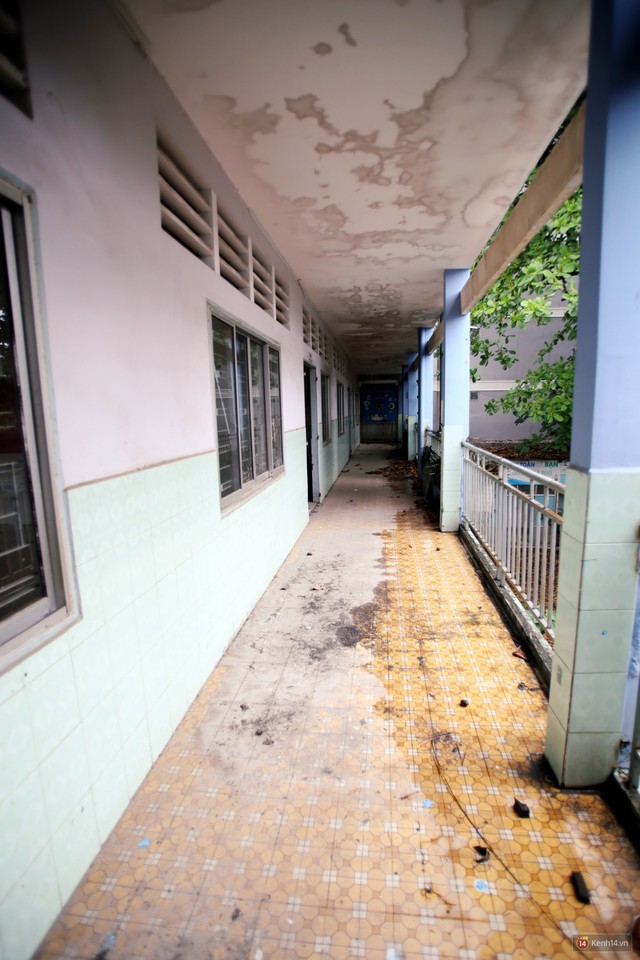 Cảnh hoang tàn bên trong ngôi trường tiểu học bị bỏ hoang hơn 3 năm ở Sài Gòn - Ảnh 9.