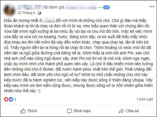 Khách Tây bùng tiền phòng ở Sapa vì nhiều muỗi và chó sủa, chủ homestay bức xúc: Người đàng hoàng sẽ đối mặt giải quyết chứ không bỏ đi như vậy! - Ảnh 13.