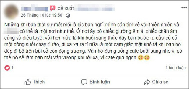 Khách Tây bùng tiền phòng ở Sapa vì nhiều muỗi và chó sủa, chủ homestay bức xúc: Người đàng hoàng sẽ đối mặt giải quyết chứ không bỏ đi như vậy! - Ảnh 14.