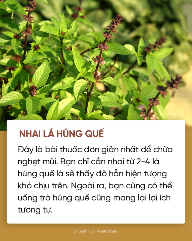 Không cần phải dùng đến thuốc vẫn chữa được ngạt mũi, sổ mũi nhờ những mẹo này - Ảnh 4.