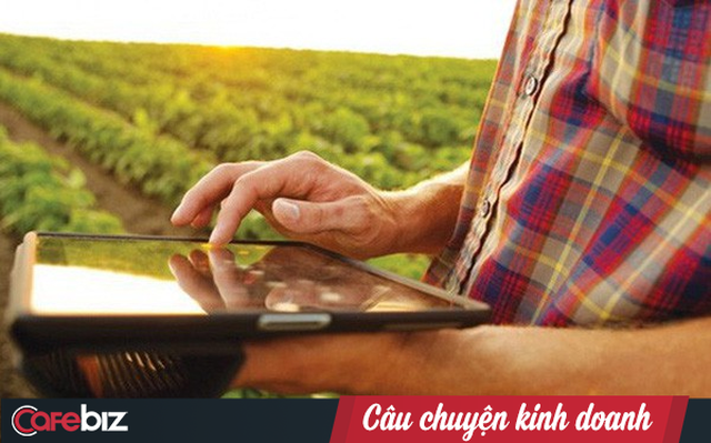 Lên đời xoài Cát Chu thành xoài blockchain, nông dân Đồng Tháp trồng không xuể để bán - Ảnh 3.