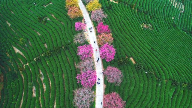 Chiêm ngưỡng loạt ảnh du lịch đẹp nhất thế giới năm 2018, Cầu Vàng tại Đà Nẵng cũng góp mặt - Ảnh 1.