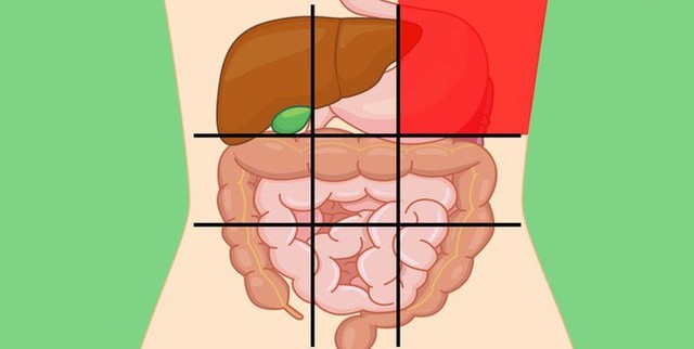 Nhờ bản đồ bụng này mà bạn sẽ biết các cơn đau ở mỗi vị trí trên bụng là do nguyên nhân nào gây ra - Ảnh 3.