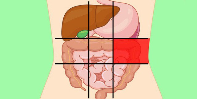 Nhờ bản đồ bụng này mà bạn sẽ biết các cơn đau ở mỗi vị trí trên bụng là do nguyên nhân nào gây ra - Ảnh 6.