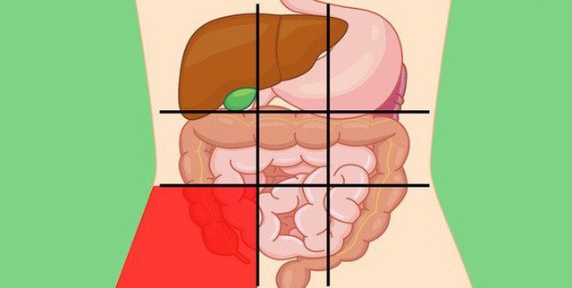 Nhờ bản đồ bụng này mà bạn sẽ biết các cơn đau ở mỗi vị trí trên bụng là do nguyên nhân nào gây ra - Ảnh 7.