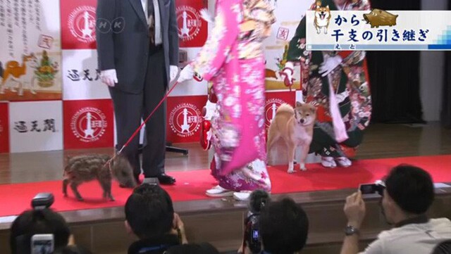 Người Nhật rộn ràng trong ngày làm việc cuối năm, chuẩn bị tiễn năm Chó đón năm mới Lợn rừng - Ảnh 1.