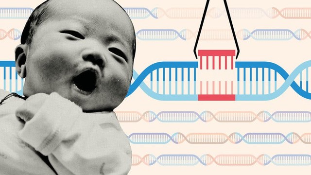 15 góc nhìn toàn cảnh nhất về nghiên cứu chỉnh sửa gen người ở Trung Quốc - Ảnh 7.