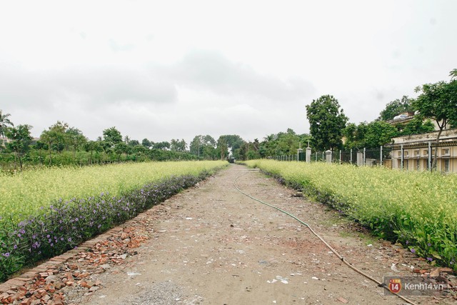 Trường ĐH duy nhất Việt Nam có vườn táo, vườn hoa cải được phép ăn tẹt ga, sống ảo cực chất chỉ với 15 nghìn - Ảnh 12.