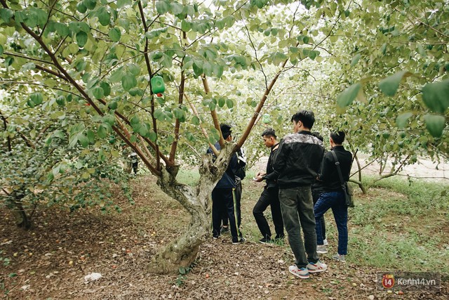Trường ĐH duy nhất Việt Nam có vườn táo, vườn hoa cải được phép ăn tẹt ga, sống ảo cực chất chỉ với 15 nghìn - Ảnh 8.