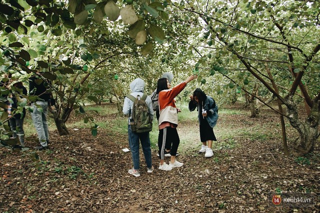 Trường ĐH duy nhất Việt Nam có vườn táo, vườn hoa cải được phép ăn tẹt ga, sống ảo cực chất chỉ với 15 nghìn - Ảnh 9.
