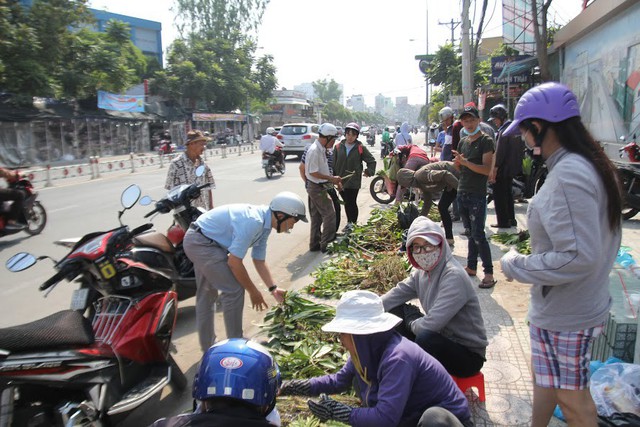 Lan rừng xuống phố đắt hàng ở Sài Gòn - Ảnh 2. Lan rừng xuống phố đắt hàng ở Sài Gòn - Ảnh 2.