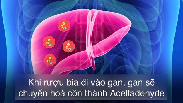  Tất cả sự thật về rượu: Uống rượu lâu say, uống bao nhiêu là đủ? - Ảnh 1.