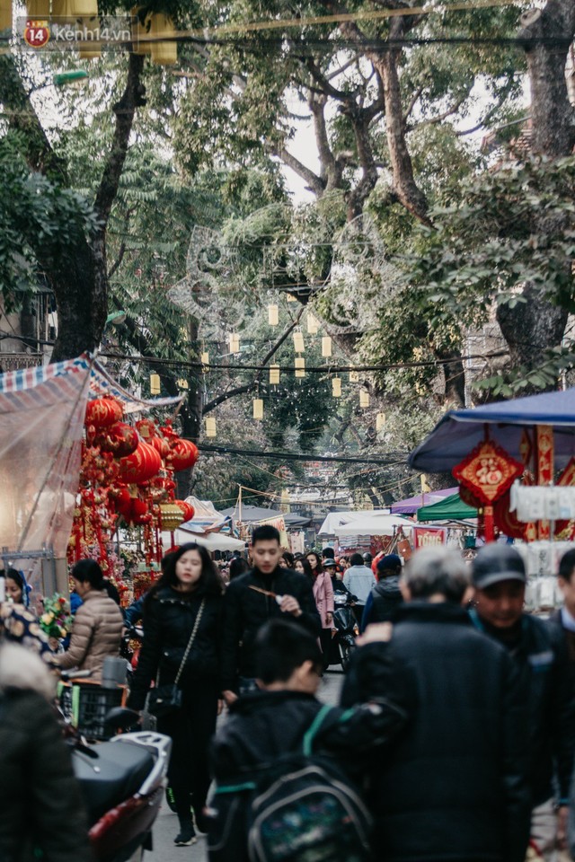 Chùm ảnh: Ghé thăm chợ hoa truyền thống lâu đời nhất Hà Nội - cả năm chỉ họp đúng một phiên duy nhất - Ảnh 3.