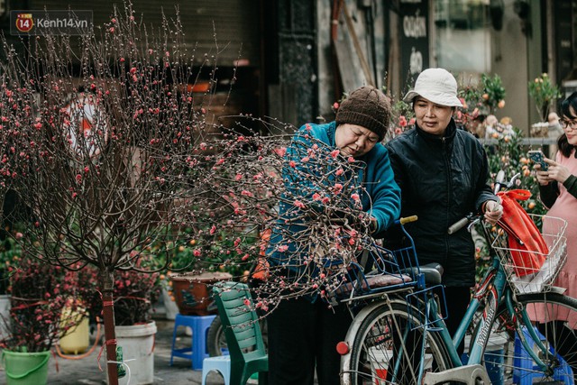 Chùm ảnh: Ghé thăm chợ hoa truyền thống lâu đời nhất Hà Nội - cả năm chỉ họp đúng một phiên duy nhất - Ảnh 19.