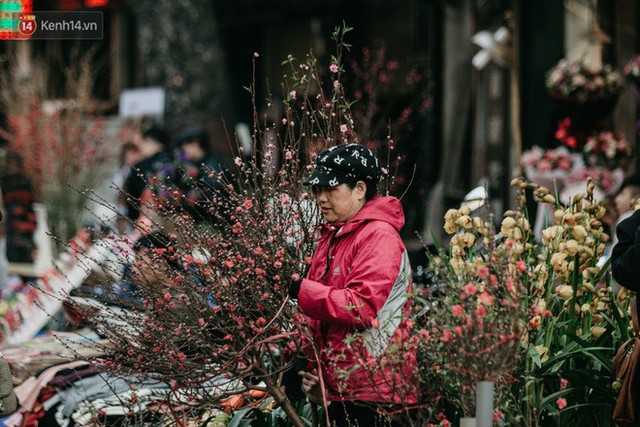 Chùm ảnh: Ghé thăm chợ hoa truyền thống lâu đời nhất Hà Nội - cả năm chỉ họp đúng một phiên duy nhất - Ảnh 8.