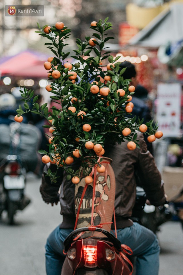 Chùm ảnh: Ghé thăm chợ hoa truyền thống lâu đời nhất Hà Nội - cả năm chỉ họp đúng một phiên duy nhất - Ảnh 9.