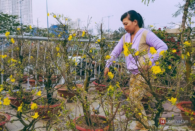 Người bán hoa Tết nghẹn lòng kể chuyện bị ép giá ngày 30: “Mong mọi người hãy bỏ tâm lý mua hoa giờ chót - Ảnh 10.