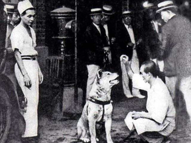 Câu chuyện cảm động về chú chó hơn 9 năm đợi người chủ quá cố ở sân ga rồi ra đi trong niềm tiếc thương của cả nước Nhật - Ảnh 4.