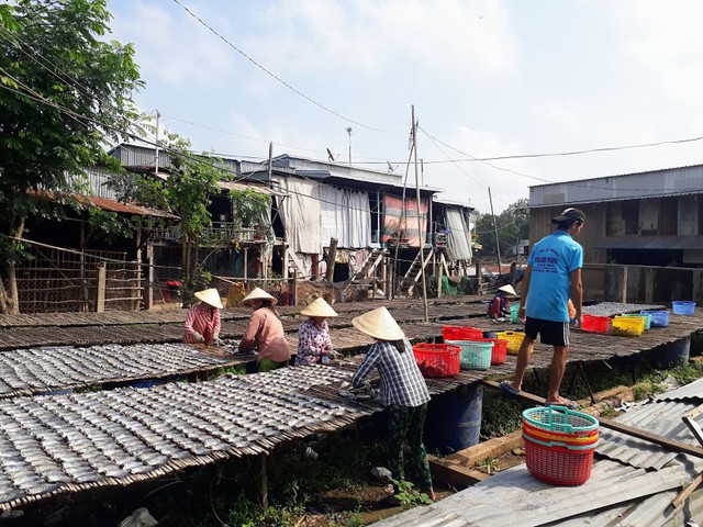 Làng cá khô lâu đời ở Miền Tây Nam Bộ - Ảnh 2.