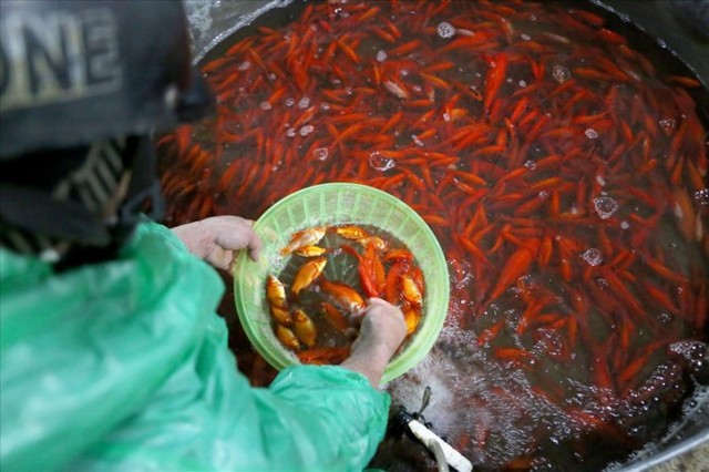 Chợ cá lớn nhất Hà Nội rực vàng trước ngày cúng ông Công ông Táo - Ảnh 6.