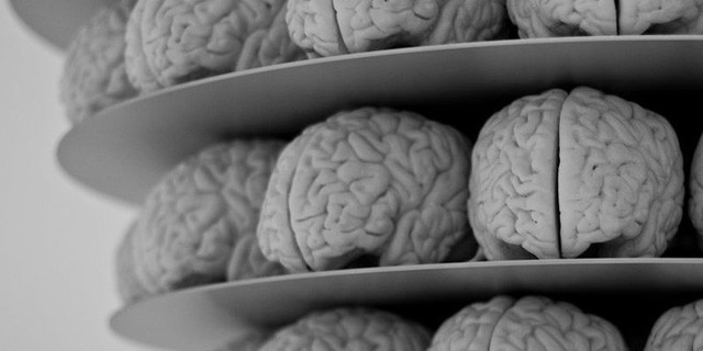 Các nhà khoa học đã tìm ra thuật toán mô phỏng bộ não con người, nhưng tiếc là không có cỗ máy nào có thể vận hành chúng được - Ảnh 1.