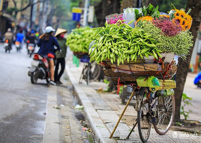 Hà Nội: Hoa loa kèn e ấp xuống phố chào hè - Ảnh 4.