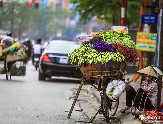 Hà Nội: Hoa loa kèn e ấp xuống phố chào hè - Ảnh 5.