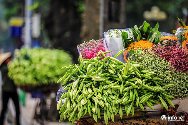 Hà Nội: Hoa loa kèn e ấp xuống phố chào hè - Ảnh 9.