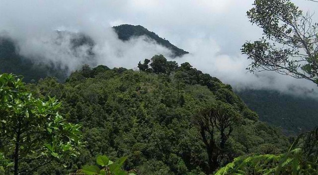 Những thợ săn mây Amazon và cách bảo vệ rừng có một không hai trong thời kì biến đổi khí hậu toàn cầu - Ảnh 1.