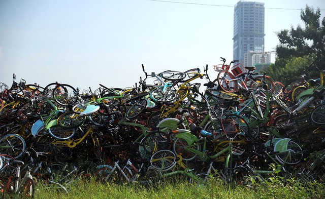 Những nghĩa trang xe đạp khổng lồ ở Trung Quốc - Ảnh 14.