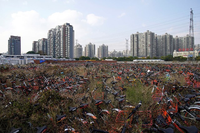 Những nghĩa trang xe đạp khổng lồ ở Trung Quốc - Ảnh 16.