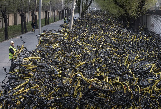 Những nghĩa trang xe đạp khổng lồ ở Trung Quốc - Ảnh 17.